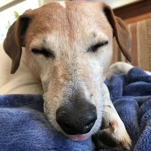 Meet your Posher, Flori